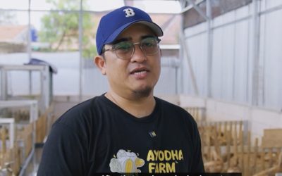 Ayodha Farm, Berhasil Bangkit Dari Kebangkrutan & Hutang