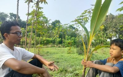 Riset Tentang Kelapa, Tahu Manfaat dan Perkembangannya